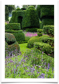 Topiary88 - Jackie Tucker